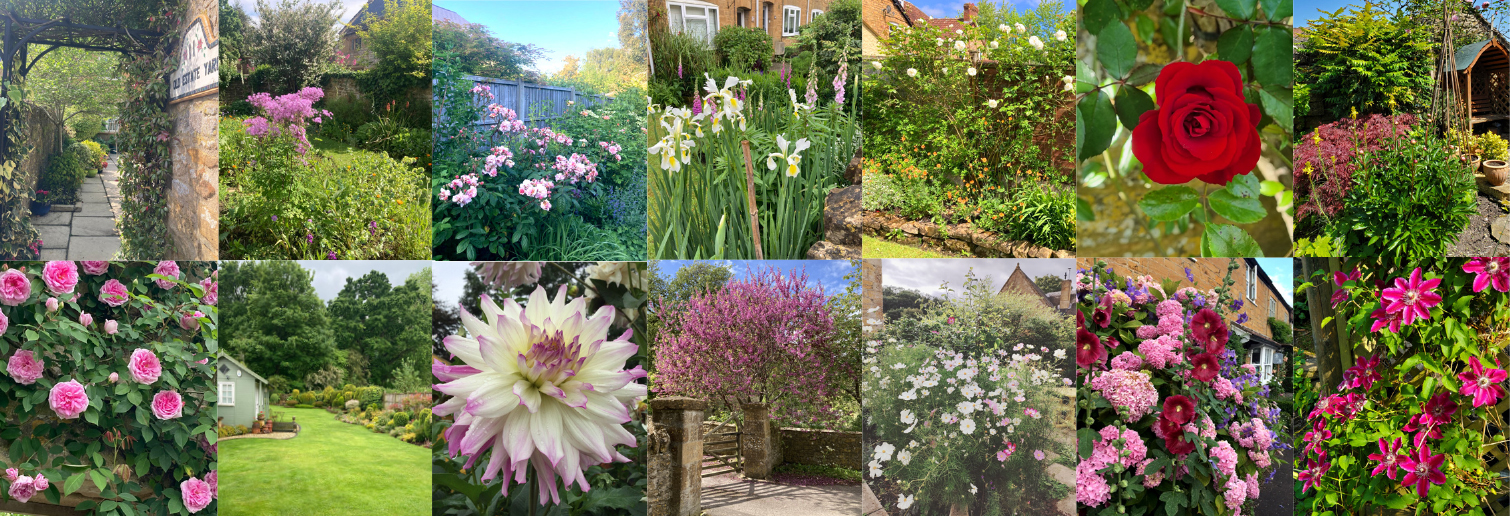 OpenGardensphotoJune